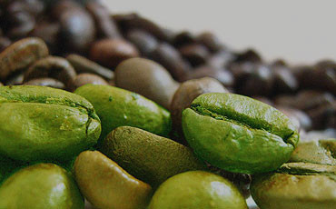 Green Coffee Get up to 30% off