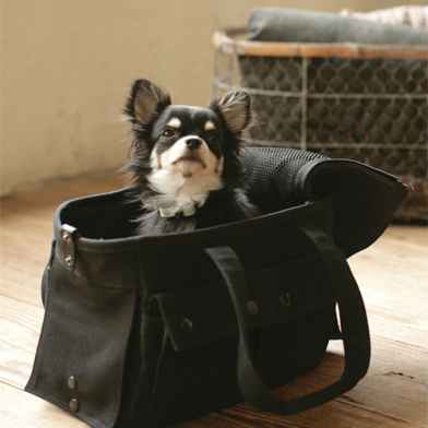 Carry bag キャリー