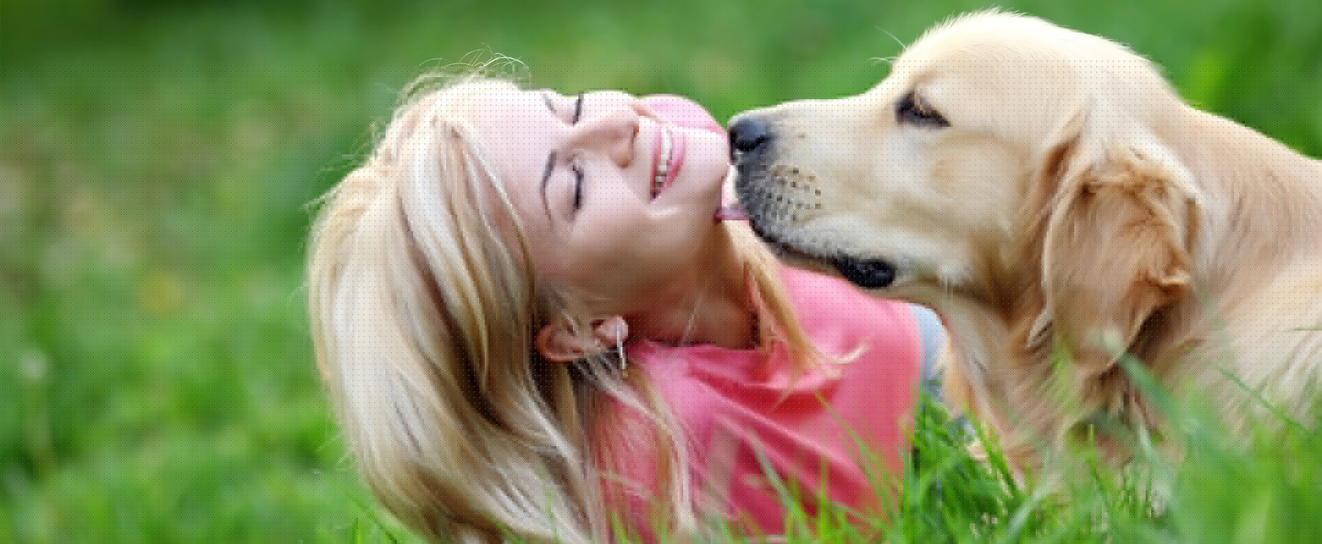 Pet Banner Image